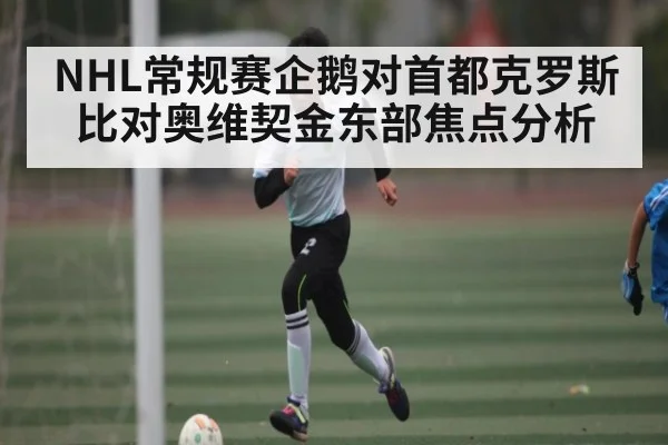 NHL常规赛企鹅对首都克罗斯比对奥维契金东部焦点分析